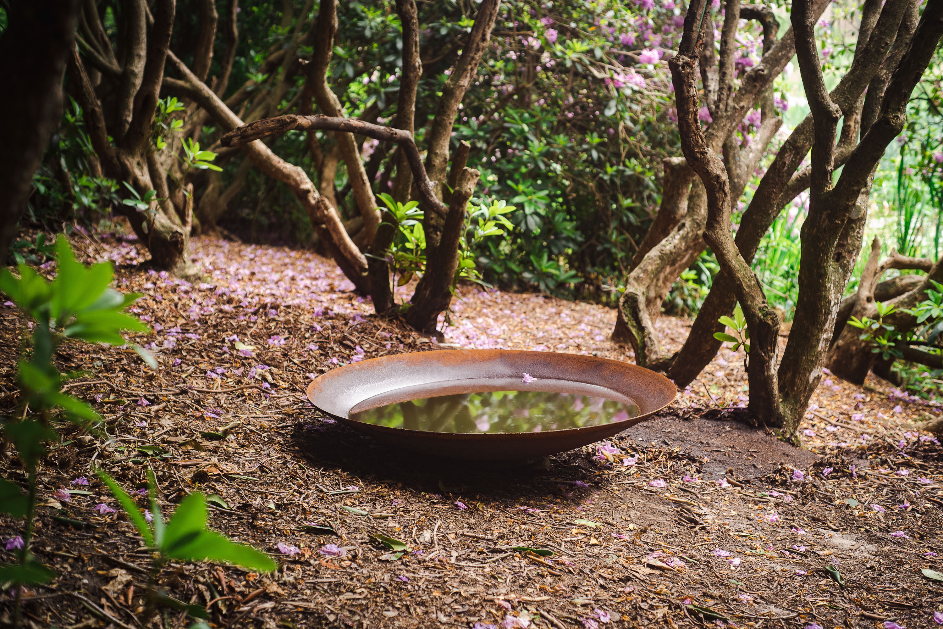 ADEZZ_Sales Selection_Water Features_WNS_003